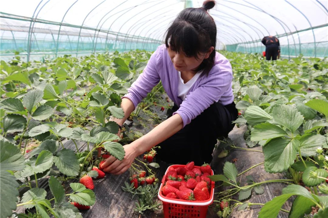 达赏短视频客户端在哪里集赏猫赚钱app官方下载-第1张图片-太平洋在线下载